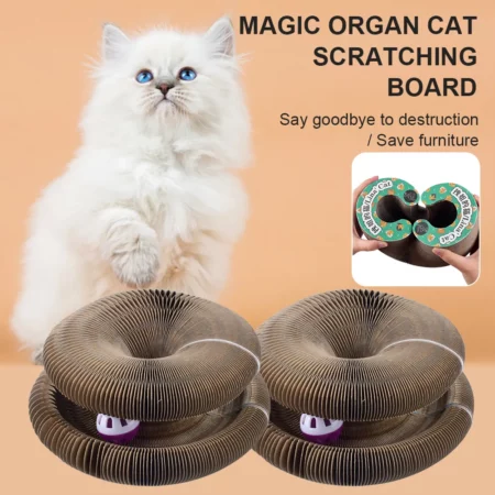 Magic Organ Cat Scratching Board-with a Toy Bell Interactive Scratcher Cat Toy Cat Grinding Claw Scratching Board Foldable